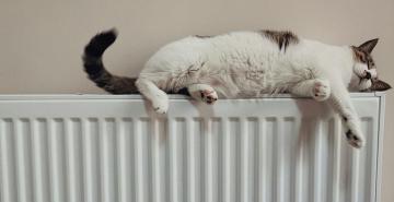 Foto von he gong auf Unsplash