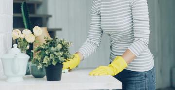 Foto von Vitaly Gariev auf Unsplash